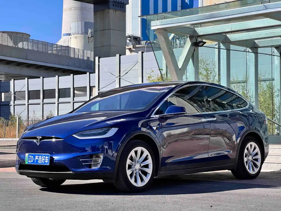 Tesla Model X Model X 75D 2019