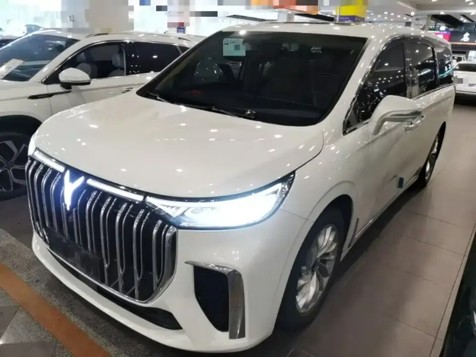 Voyah Auto Voyah Dreamer Low Carbon Edition Home 2024