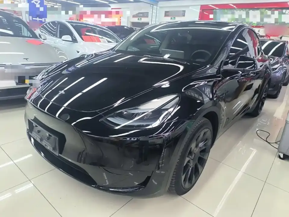Tesla Model Y Rear-Wheel Drive Version 2022