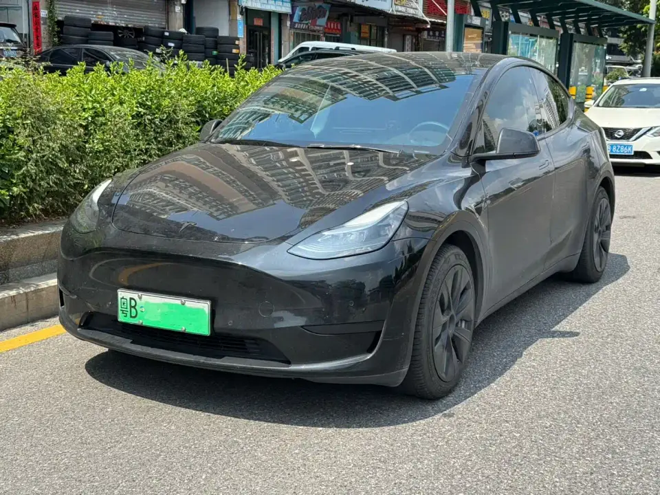 Tesla Model Y Rear-Wheel Drive Version 2022