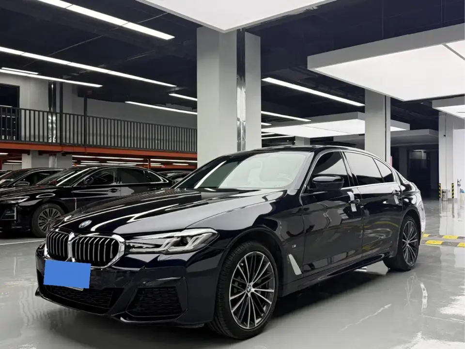 BMW 5 Series 530Li Leading M Sport Package 2020