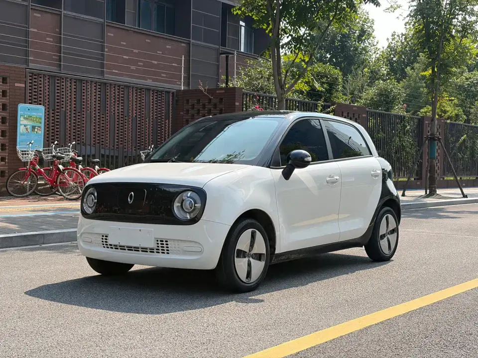 ORA Black Cat 301km Pet Edition 2021