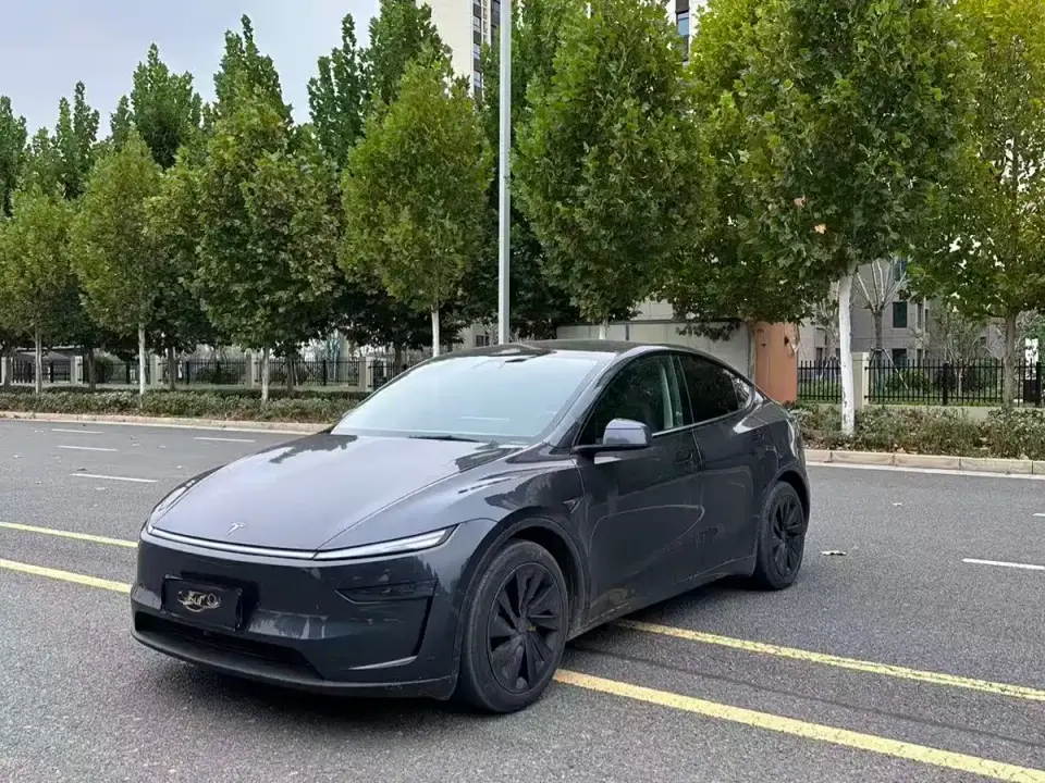 Tesla Model Y Long Range All-Wheel Drive 2025