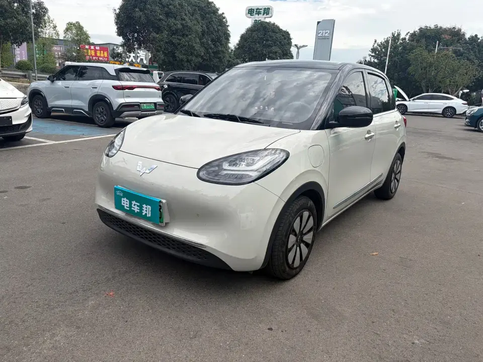 Wuling Motors Wuling Bingo 333km Comfort Edition 2024