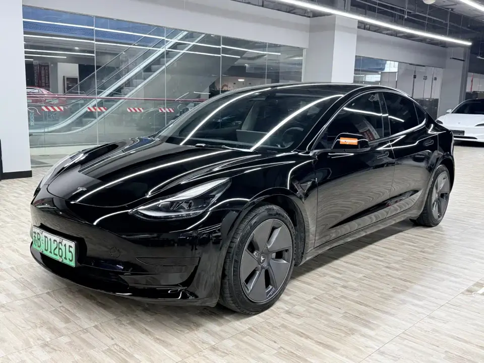 Tesla Model 3 Model Rear-Wheel Drive Version 2022