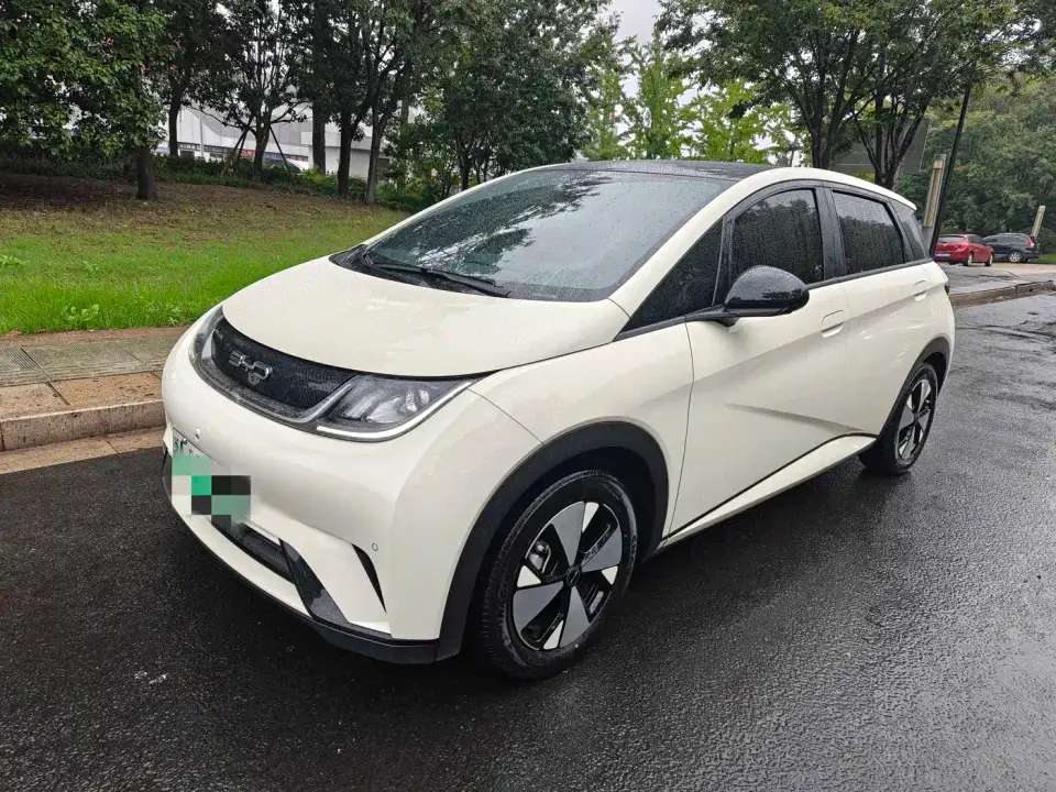 BYD Dolphin 420km Fashion Edition 2023