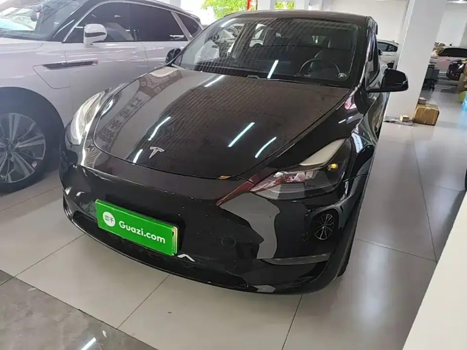 Tesla Model Y Model Long Range AWD 2021