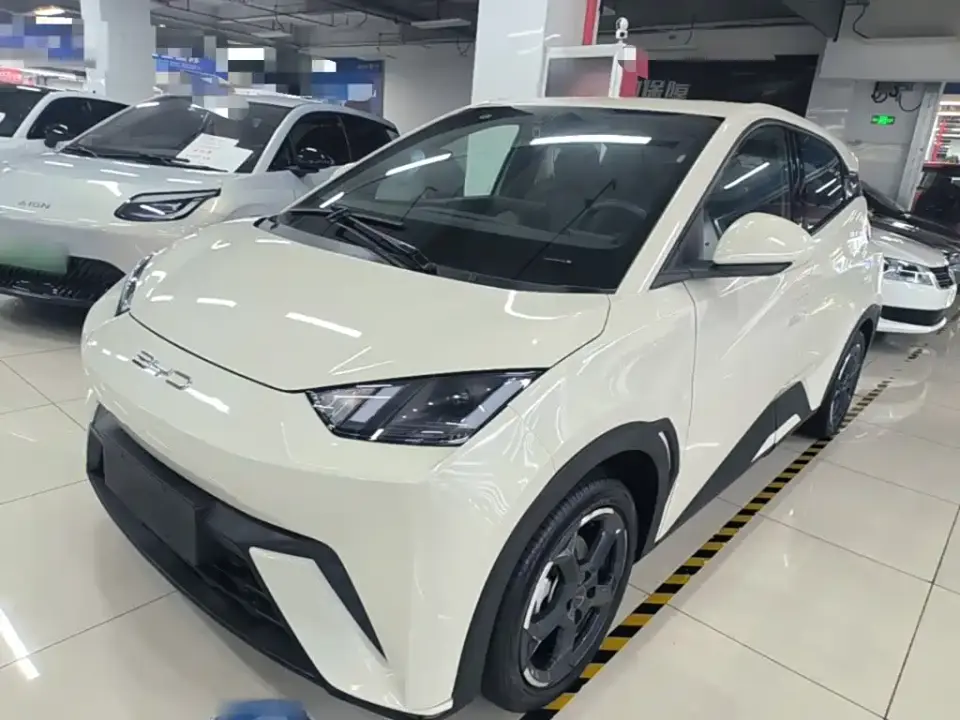 BYD Seagull Freedom Edition 2024
