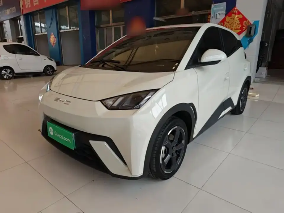 BYD Seagull Freedom Edition 2024