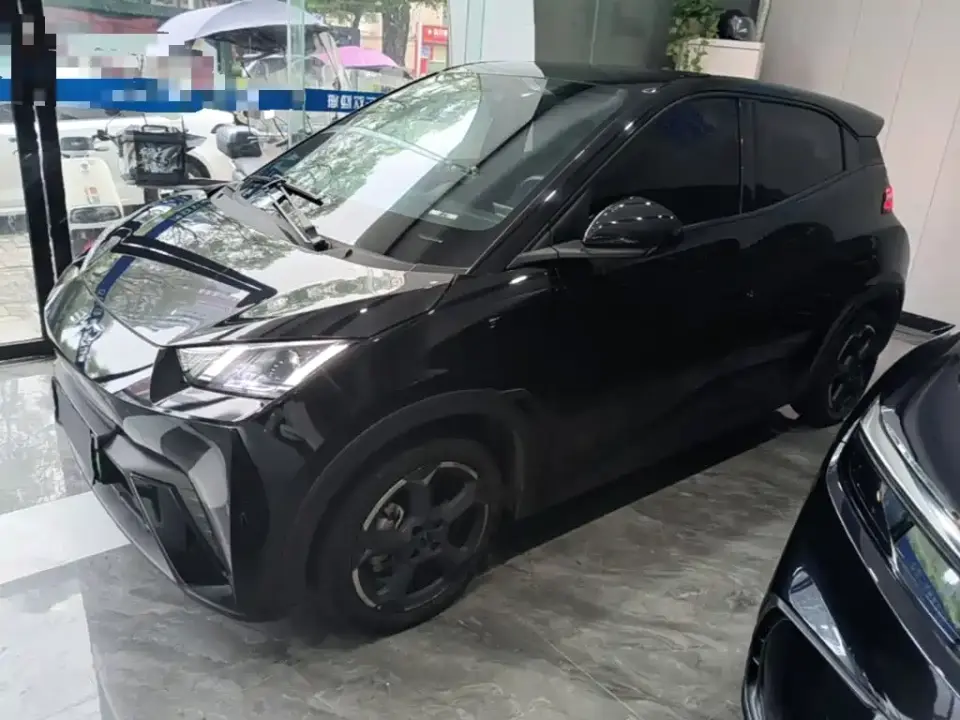 BYD Seagull Freedom Edition 2023