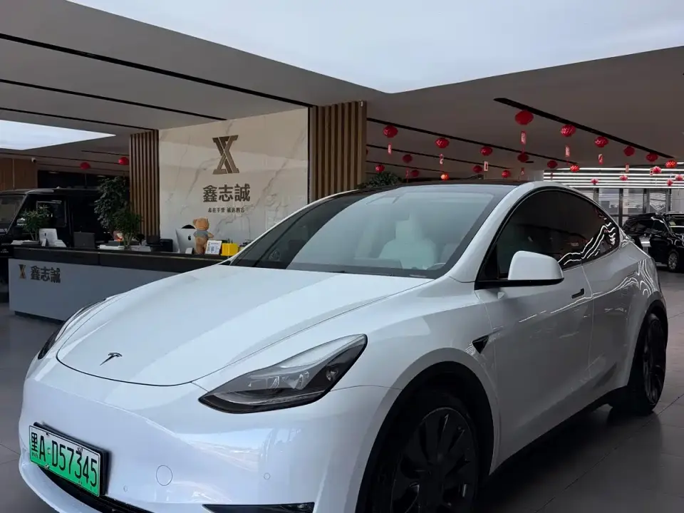 Tesla Model Y Performance High-Performance All-Wheel Drive Version 2023