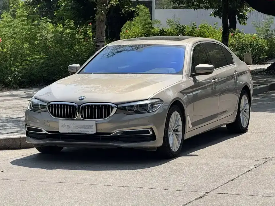 BMW 5 Series Facelift 530Li Leading Luxury Package 2019