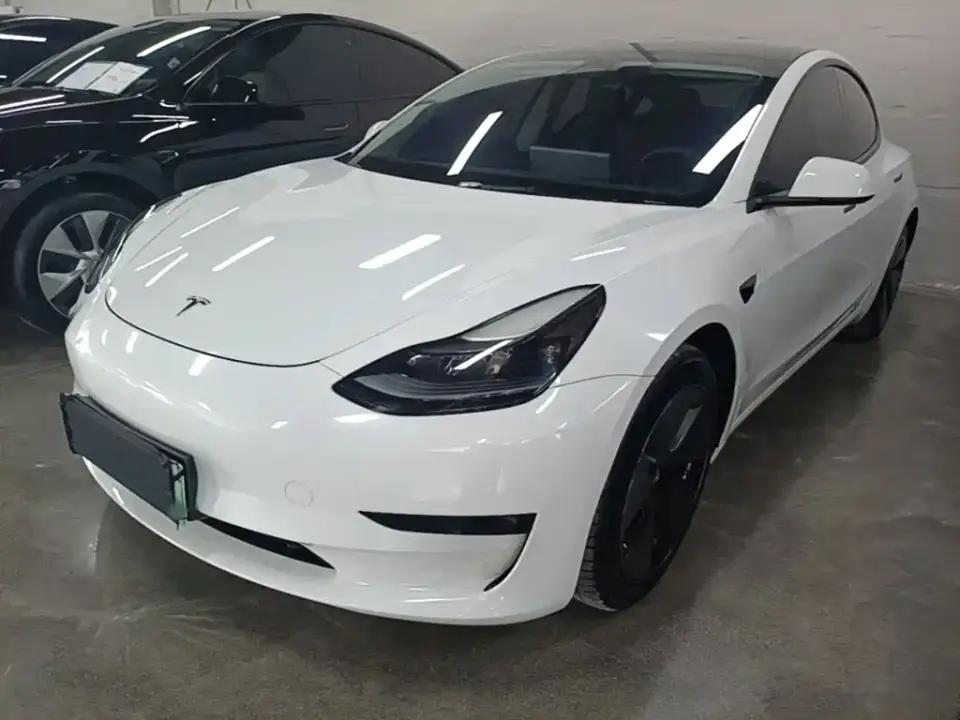 Tesla Model 3 Standard Range Rear-Wheel Drive Upgrade 3D6 2021