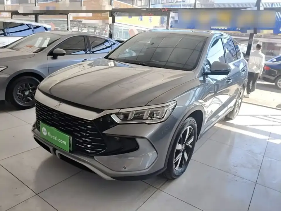 BYD Song Pro New Energy Glory Edition DM-i 71KM Pilot 2024