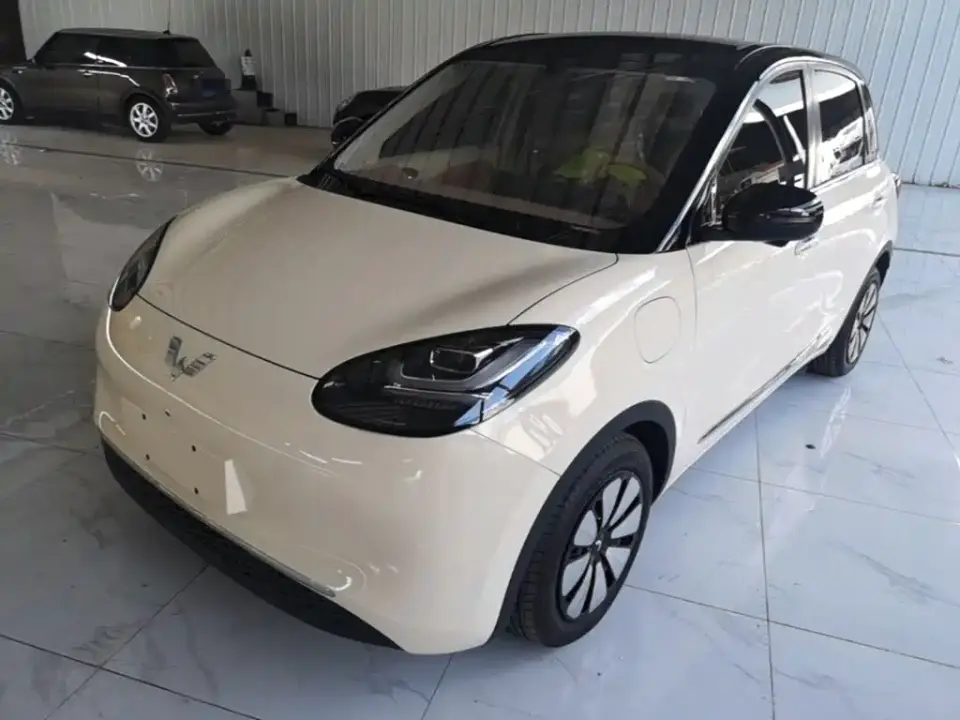 Wuling Motors Wuling Bingo Model 333km Smart Premium 2026