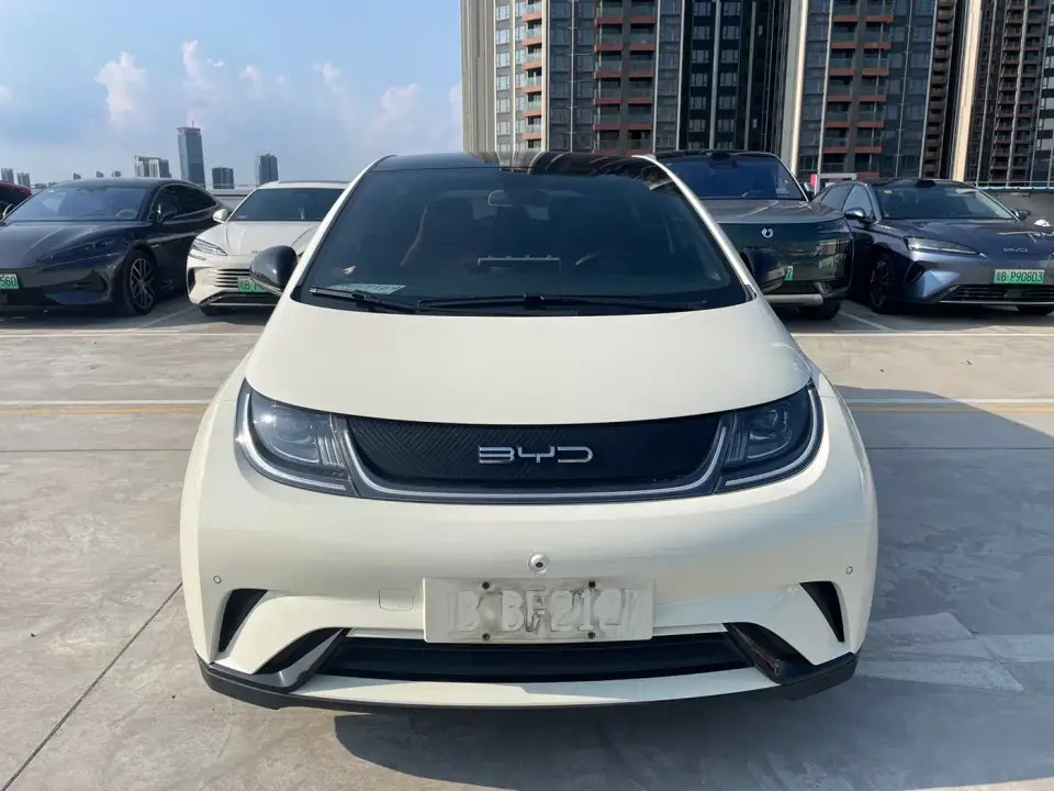 BYD Dolphin 420km Fashion Edition 2023