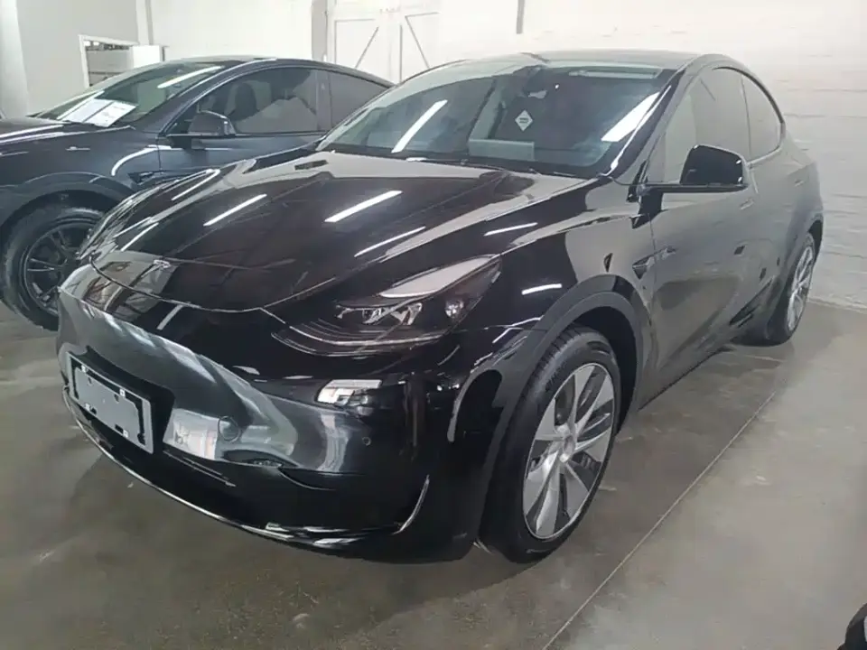 Tesla Model Y Rear-Wheel Drive Version 2022
