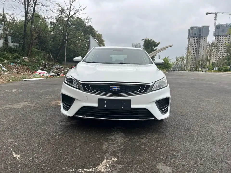 Geely Binrui 1.4T CVT Binzhi Edition 2019