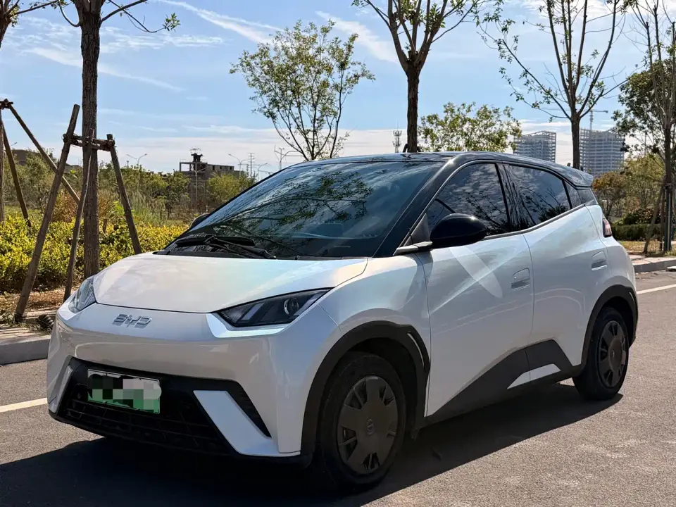 BYD Seagull Glory Edition 305km Vitality Edition 2024