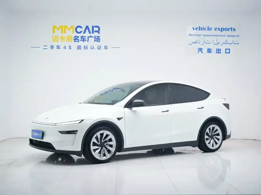 Tesla Model Y Long Range All-Wheel Drive 2025