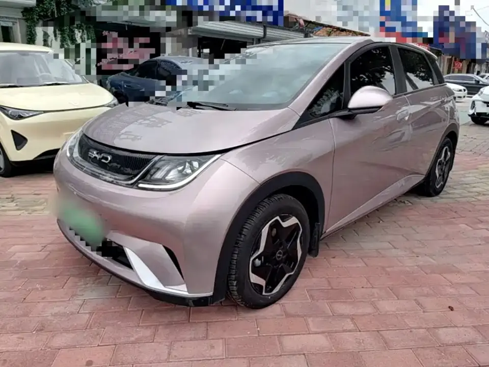 BYD Dolphin Model 405km Fashion Edition 2022