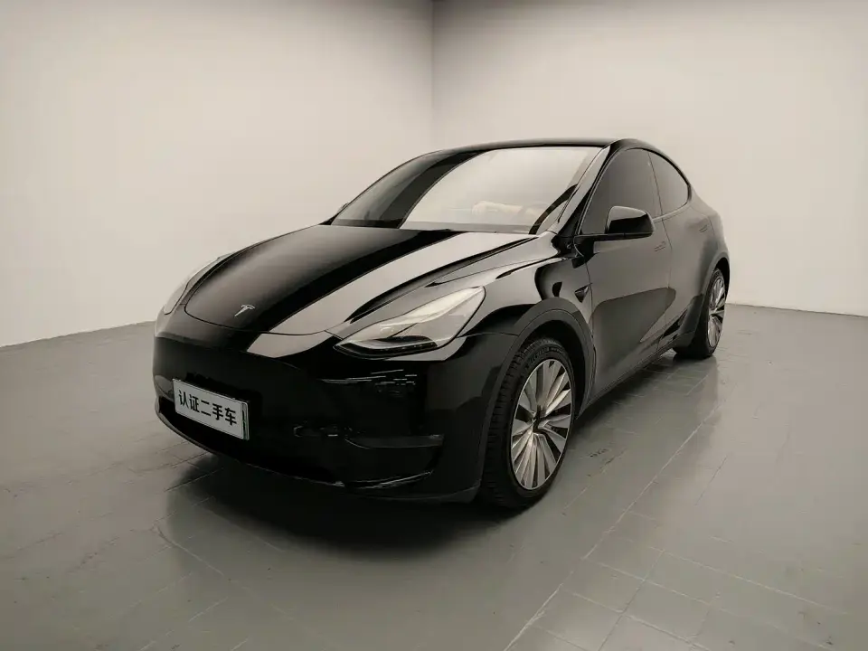 Tesla Model Y Long Range All-Wheel Drive 3D7 2021