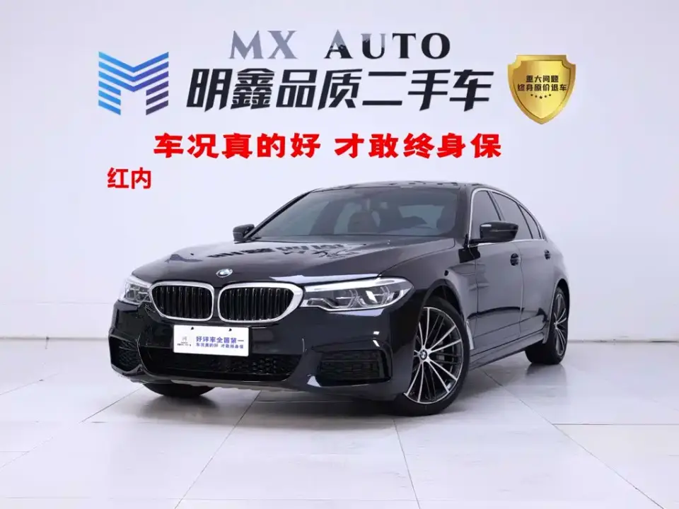 BMW 5 Series 530Li Leading M Sport Package 2020