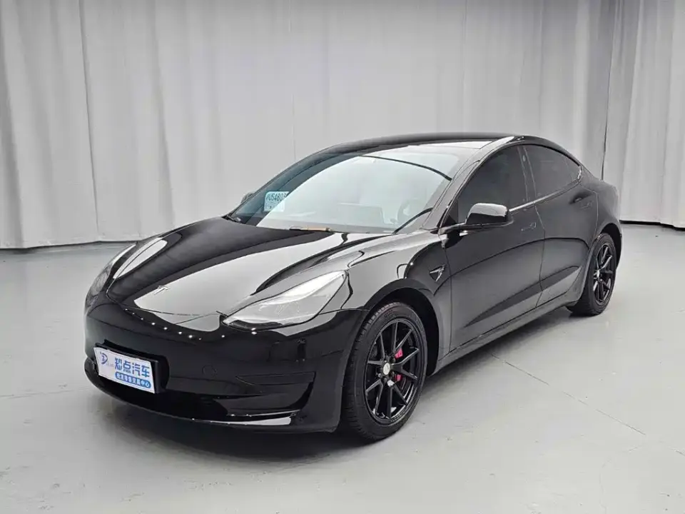 Tesla Model 3 Model Rear-Wheel Drive Version 2022