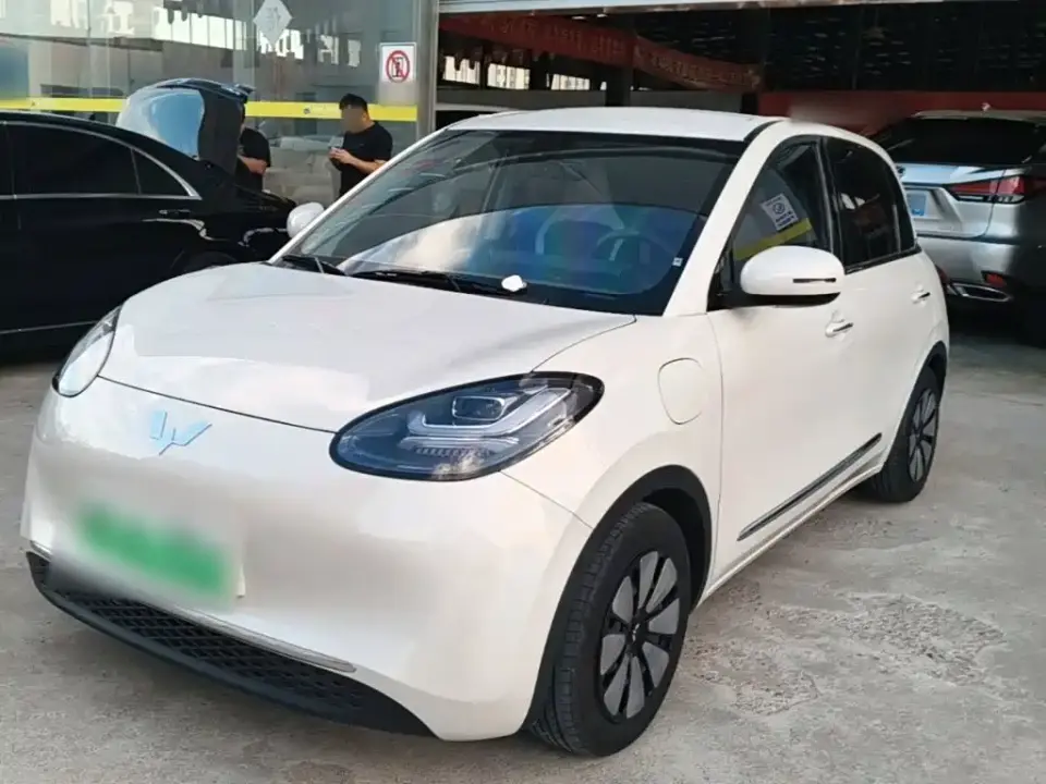 Wuling Motors Wuling Bingo 333km Comfort Edition 2024