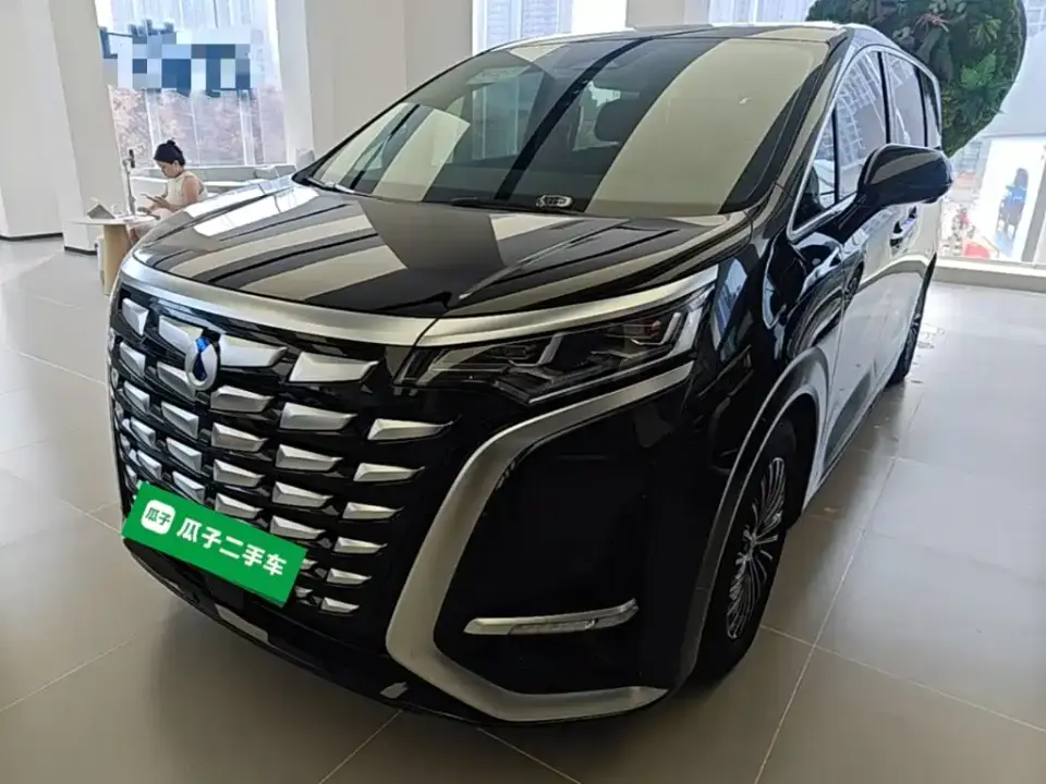 Denza D9 DM-i 980 AWD Premium 2025
