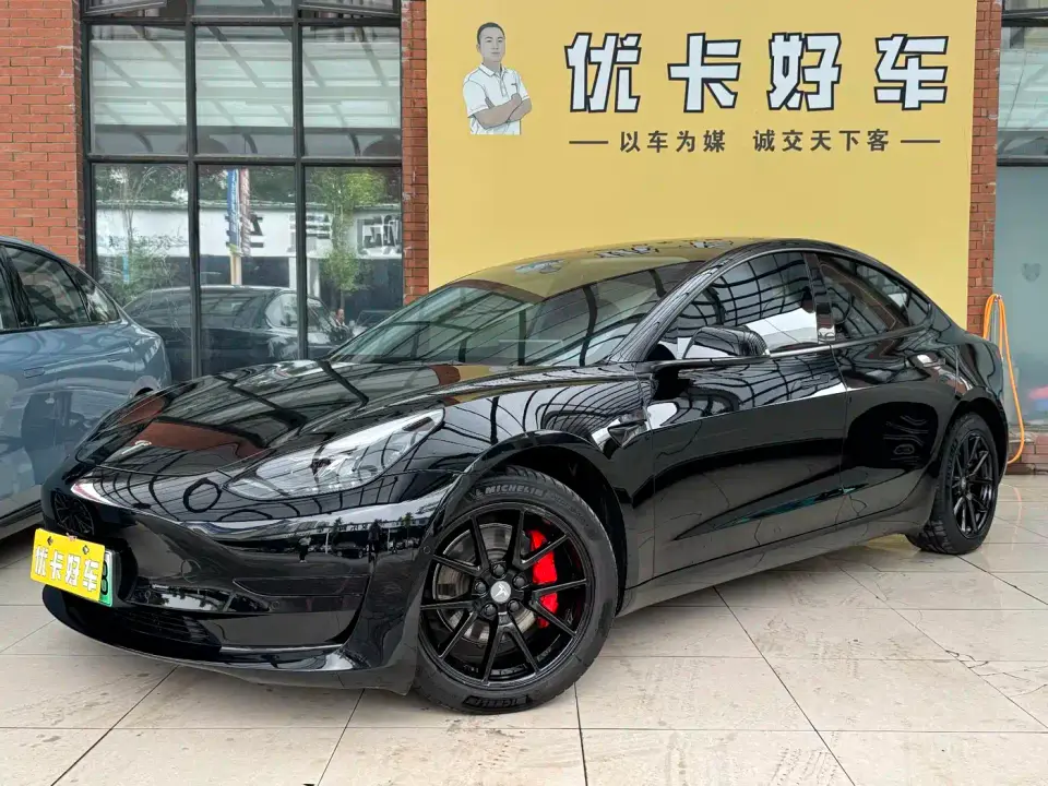 Tesla Model 3 Standard Range Rear-Wheel Drive Upgrade 3D6 2021