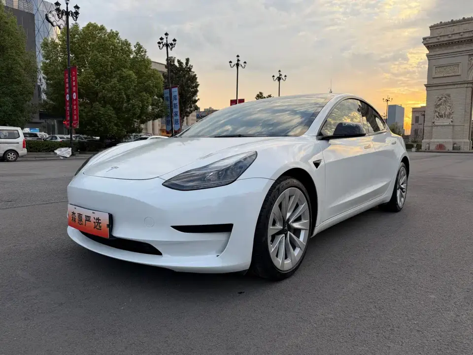 Tesla Model 3 Standard Range Rear-Wheel Drive Upgrade 3D6 2022