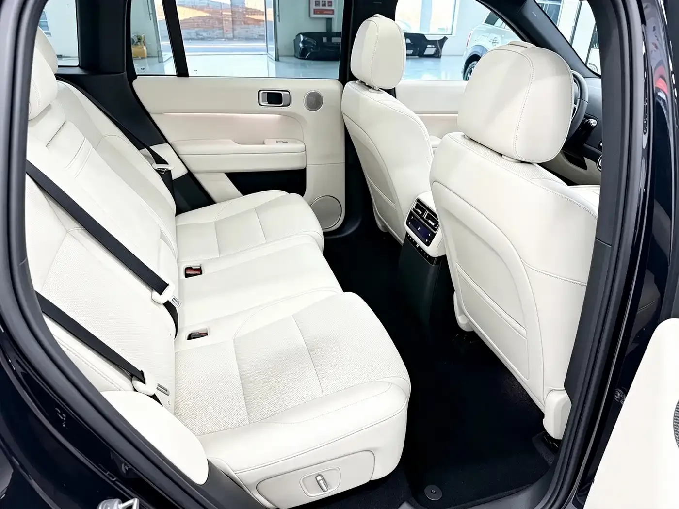 Li Auto L6 Pro Smart Renewal Edition 2025 — фото 4
