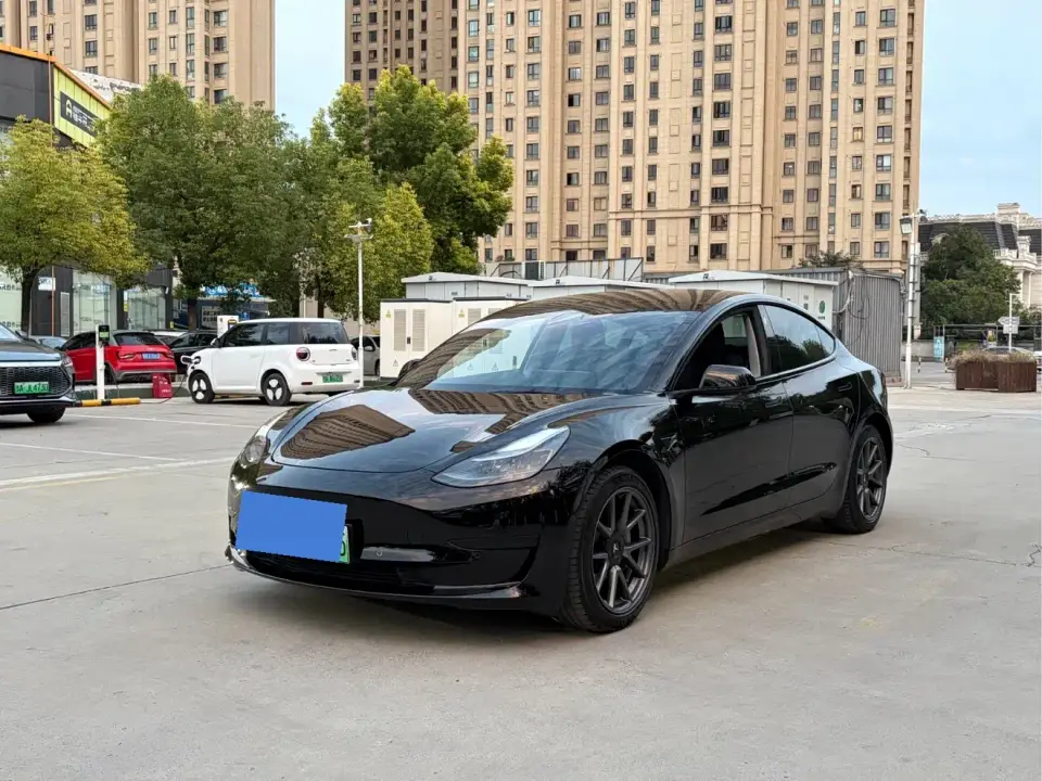 Tesla Model 3 Standard Range Rear-Wheel Drive Upgrade 3D6 2021