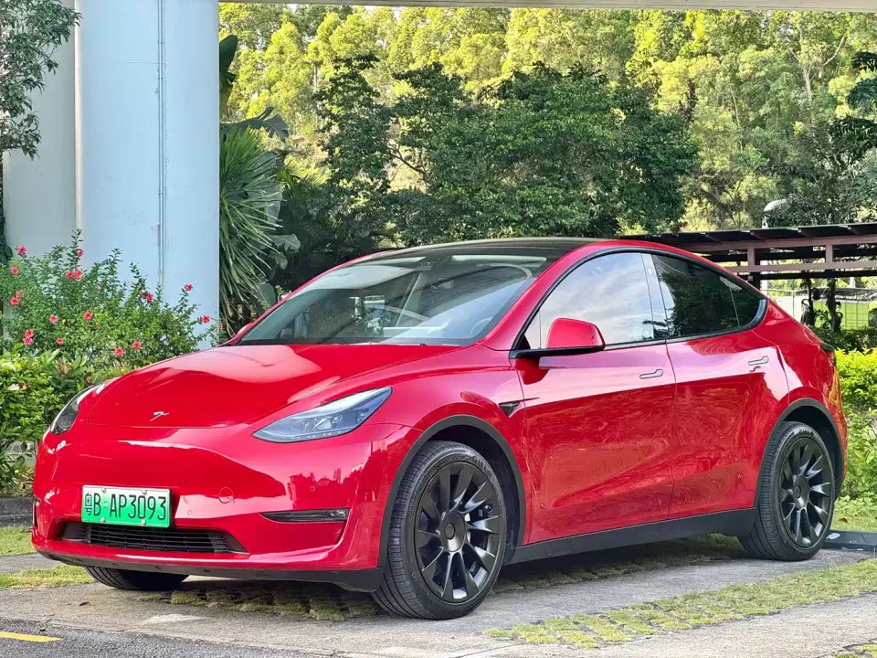 Tesla Model Y Model Long Range AWD 2021