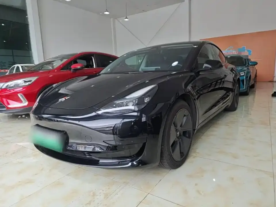 Tesla Model 3 Model Rear-Wheel Drive Version 2022