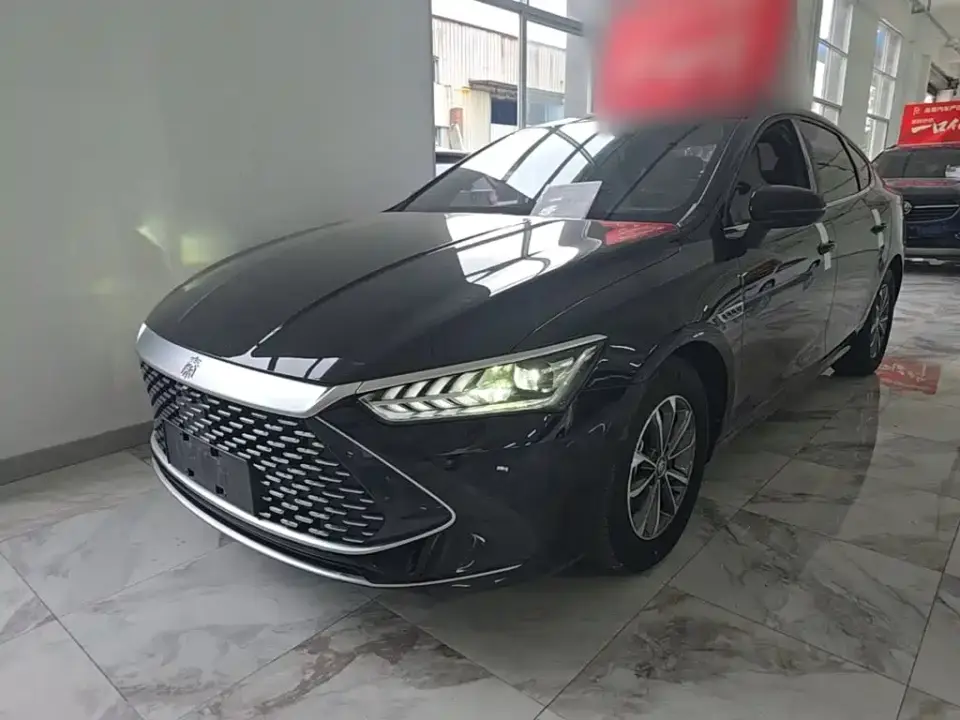 BYD Qin PLUS Glory Edition DM-i 55KM Leading 2024