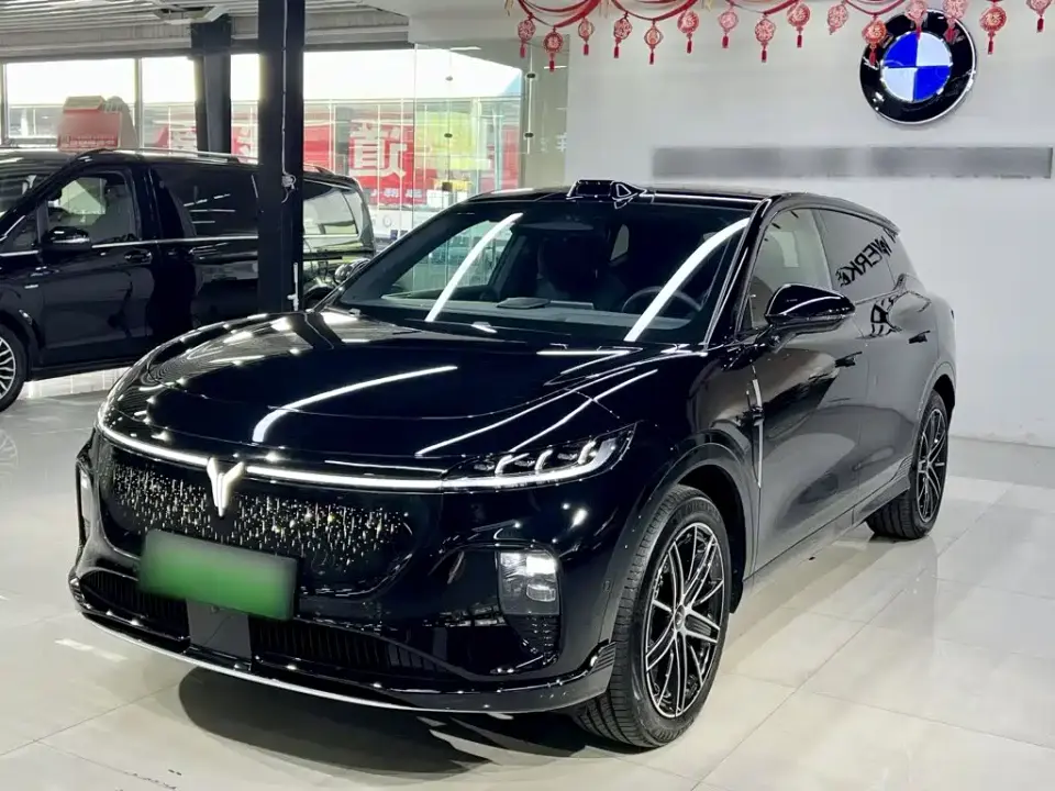 Voyah Auto Voyah Zhiyin Base 2025