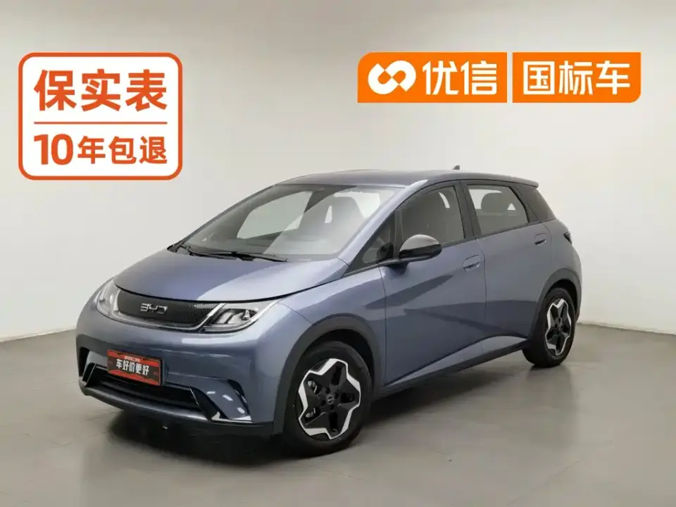 BYD Dolphin 420km Vitality Edition 2024