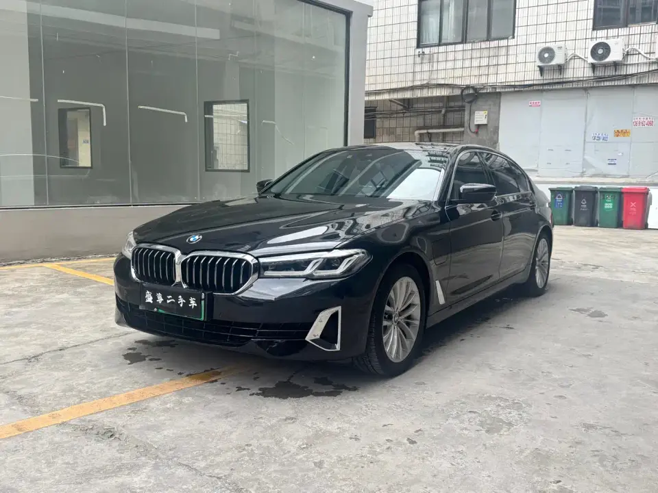 BMW 5 Series New Energy 535Le Luxury Package 2020