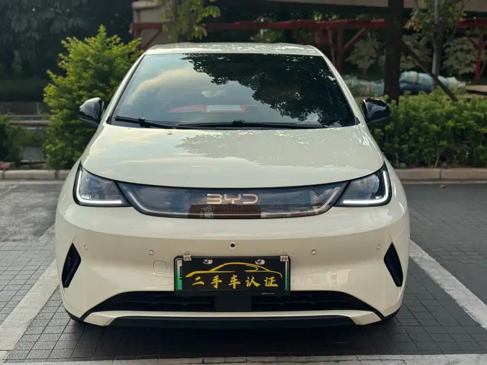 BYD Dolphin Smart Drive Edition 420km Freedom Version 2025