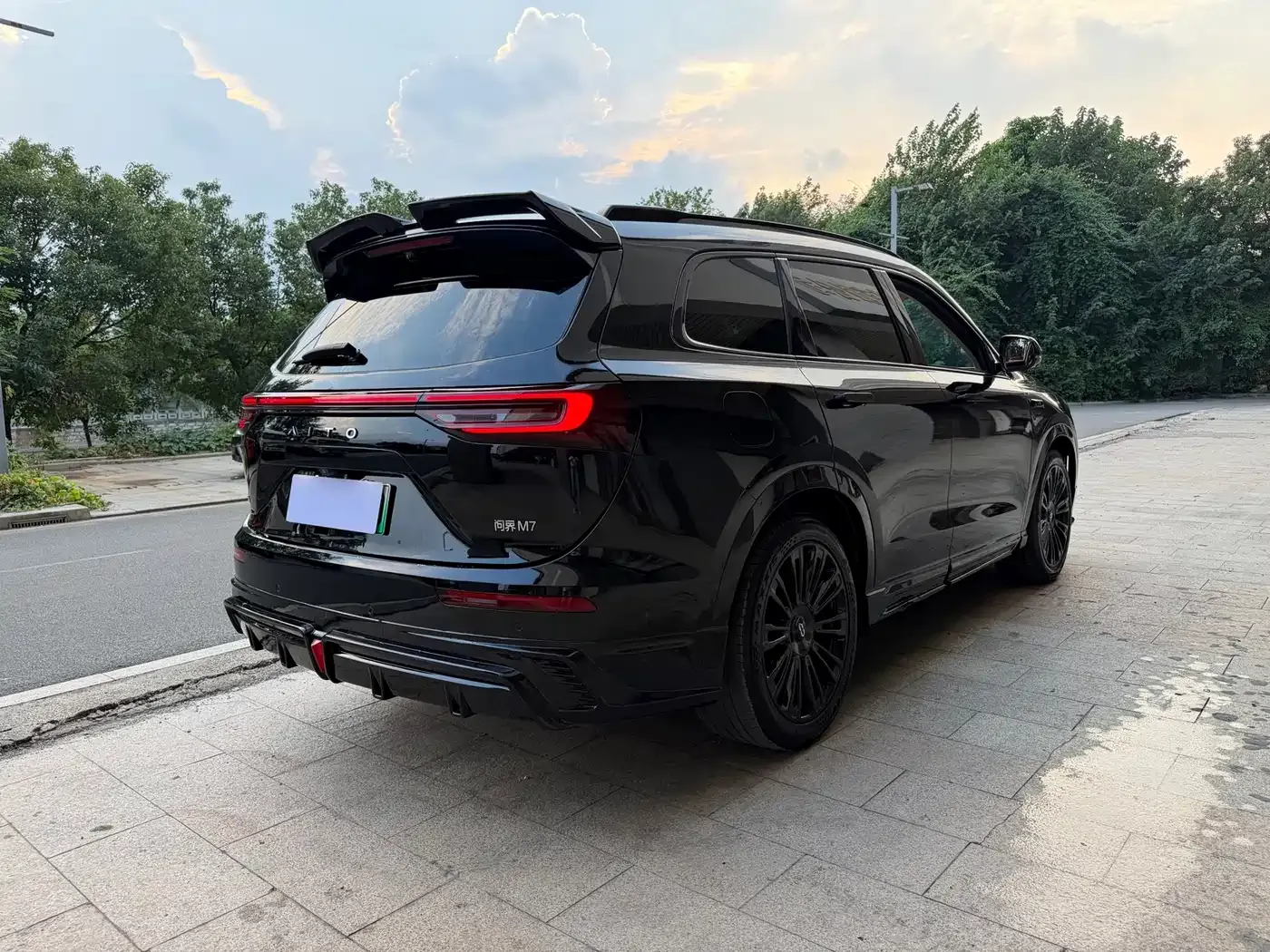 AITO Wenjie AITO M7 Model 1.5T Smart Drive RWD Max 5-Seater 2023 — фото 8