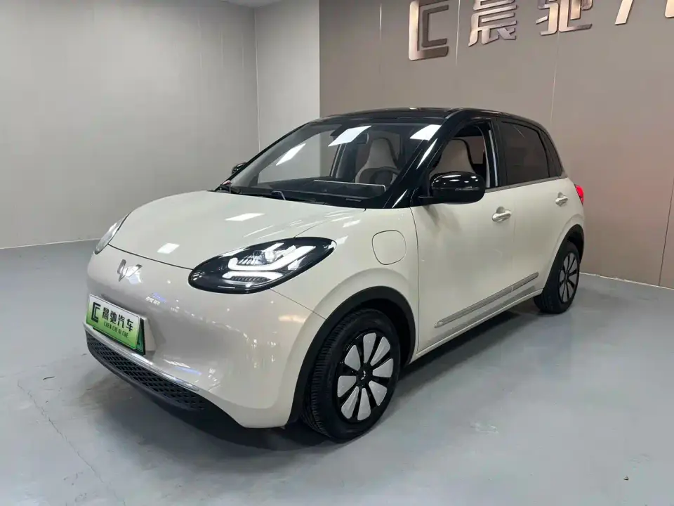 Wuling Motors Wuling Bingo 410km Lingxi Premium Edition 2024