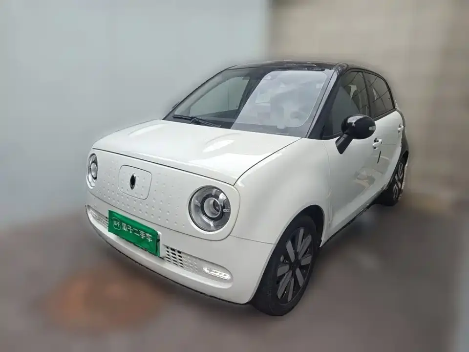 ORA Black Cat 351km Luxury Model 2020