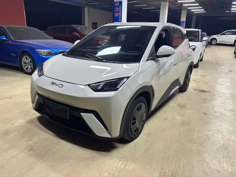 BYD Seagull Glory Edition 305km Freedom Edition 2024