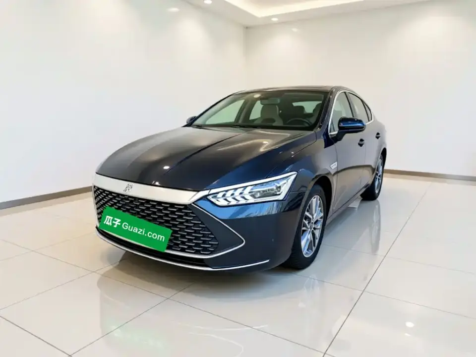 BYD Qin PLUS Glory Edition DM-i 55KM Surpass 2024