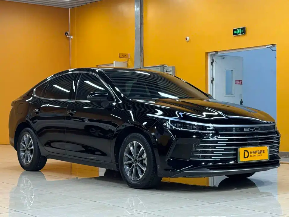 BYD Destroyer 05 Glory Edition DM-i 55KM Luxury 2024