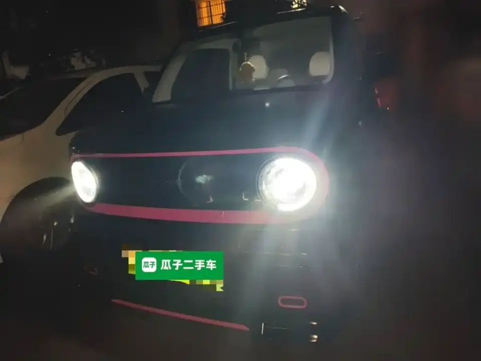 Geely Galaxy Panda Model Year 210km Panda Kart 2025