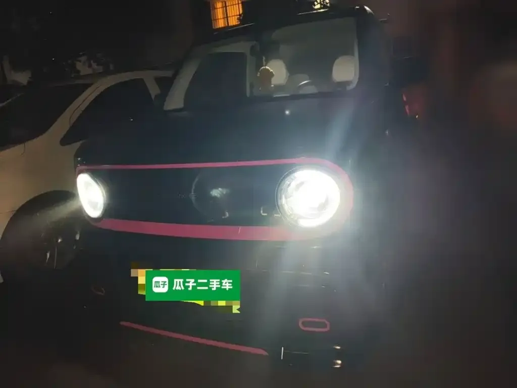 Geely Galaxy Panda Model Year 210km Panda Kart 2025