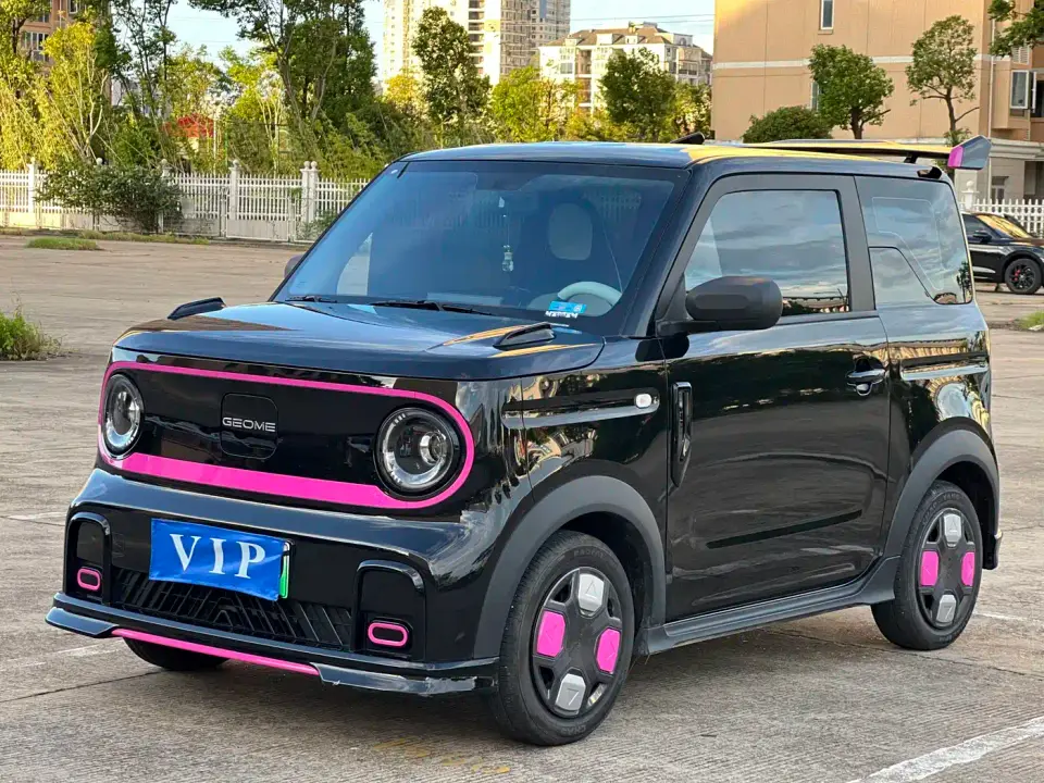 Geely Galaxy Panda Model Year 210km Panda Kart 2025